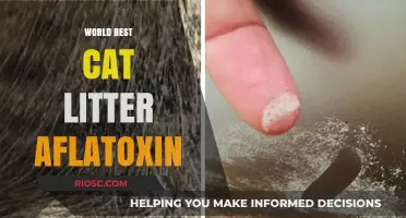 Aflatoxin Alert: Uncovering the Safest Cat Litter Options for Your Feline Friend