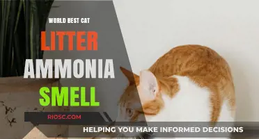 Eliminate Ammonia Smell: Discover the World's Best Cat Litter Solutions