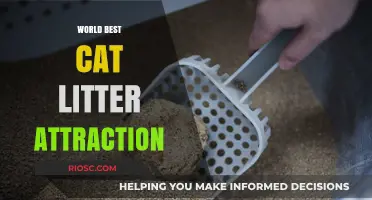 Revolutionary World’s Best Cat Litter: Unmatched Odor Control and Paw-Approved Attraction