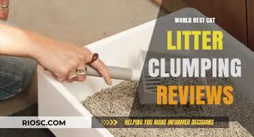 Top-Rated Clumping Cat Litters: Expert Reviews of the World's Best Options