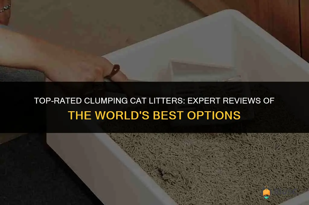 world best cat litter clumping reviews