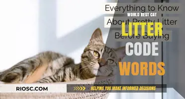 Unlocking the Secrets: Decoding the World's Best Cat Litter Code Words for Purr-fect Choices