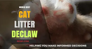 Declawing Dilemma: How the World’s Best Cat Litter Can Save Your Furniture and Your Cat’s Claws