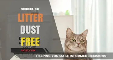 Dust-Free Bliss: Discover the World's Best Cat Litter for a Clean and Healthy Home