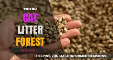 Forest Fresh: Discover the World's Best Cat Litter for a Natural, Odor-Free Home