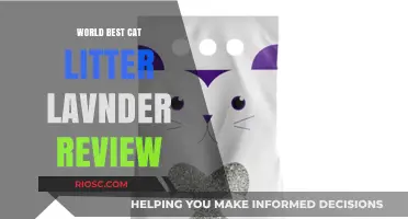 Lavender Bliss: A Comprehensive Review of the World's Best Cat Litter with a Soothing Scent