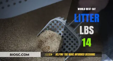 Revolutionary 14-Lb World’s Best Cat Litter: The Ultimate Solution for Odor Control and Easy Cleanup