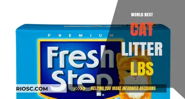 Top-Rated World’s Best Cat Litter: How Many Pounds Do You Need?
