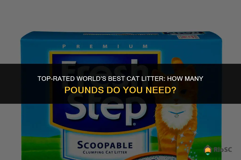 world best cat litter lbs