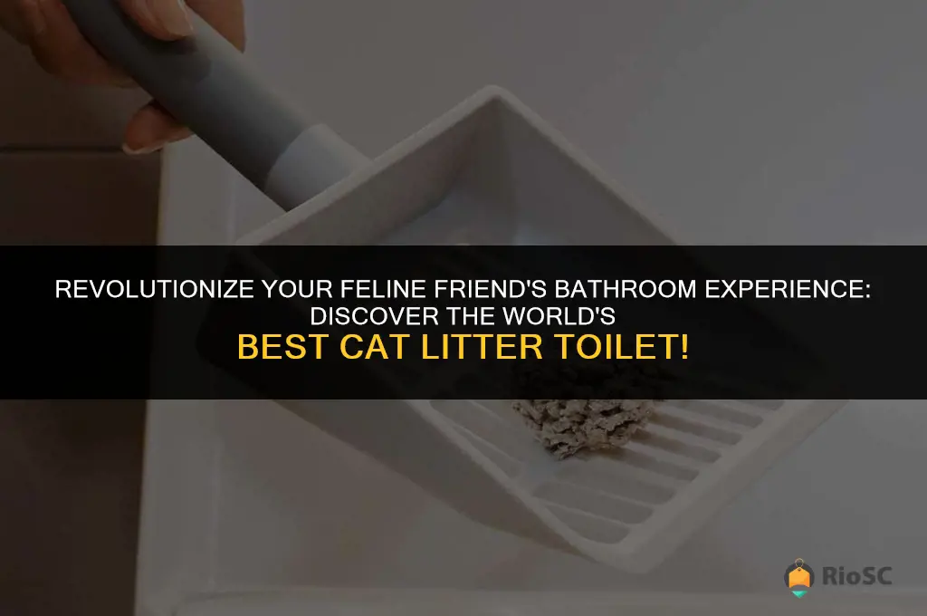 world best cat litter toilet