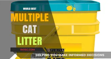 Revolutionize Your Feline's Hygiene: Discover the Ultimate Multi-Cat Litter Solution