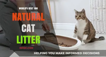 Purr-fectly Natural: Unveiling the Top 100 Eco-Friendly Cat Litter Options