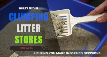 Purr-fectly Clean: Top Stores for the World's Best Cat Clumping Litter