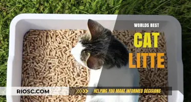 Purr-fectly Clean: Unveiling the World's Best Cat Litter for Your Feline Friend