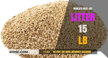 Revolutionary Cat Litter: Why the World's Best 15 lb Option is a Game-Changer for Pet Owners