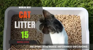 Top-Rated Cat Litter: Unveiling the World's Best Choice for Feline Friends