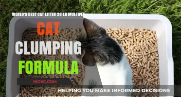 Purr-fectly Clean: The Ultimate 28-Pound Clumping Cat Litter for Multi-Cat Households