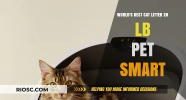 Purr-fectly Clean: The Top-Rated 28-Pound Cat Litter at PetSmart
