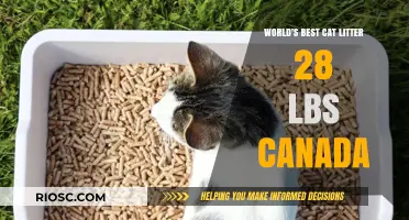 Purr-fectly Clean: Unveiling the Top Cat Litter Choice in Canada for Your Feline Friend