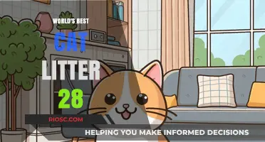 Purr-fectly Clean: Unveiling the World's Best Cat Litter for 2024