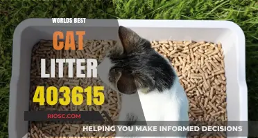 Unveiling the World's Best Cat Litter: A Comprehensive Guide to Keeping Your Feline Friend Happy and Healthy