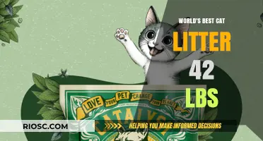 Purr-fectly Clean: Unveiling the World's Best Cat Litter - A 42-Pound Solution for Happy Felines