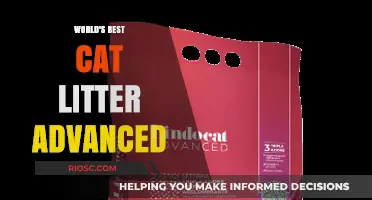Revolutionizing Pet Care: The Advanced Cat Litter That's Taking the World by Storm