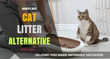 Revolutionize Your Feline Friend's Comfort: Discover the Ultimate Cat Litter Alternative