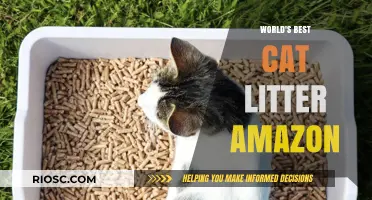 Top-Rated Cat Litter on Amazon: Discover the World's Best Options for a Fresh and Clean Home