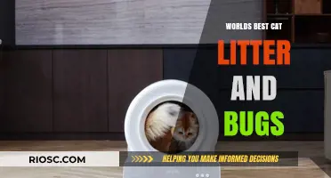 Purr-fectly Clean: The Ultimate Guide to the World's Best Cat Litter and How to Keep Those Pesky Bugs at Bay