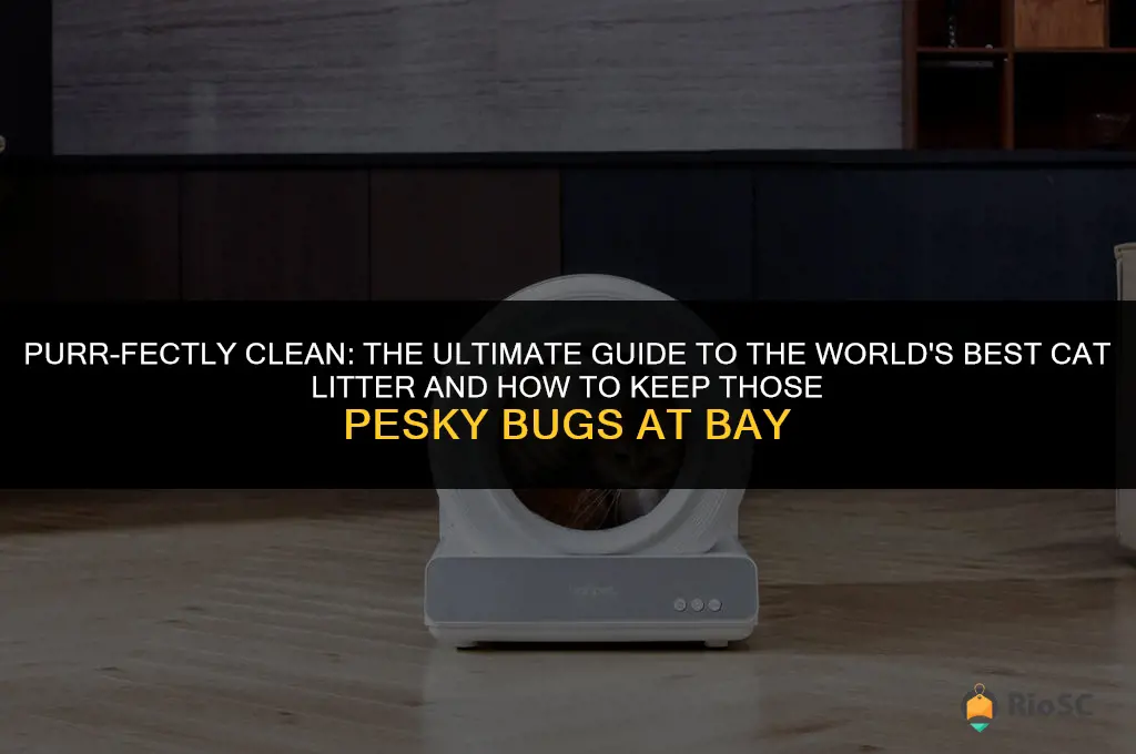worlds best cat litter and bugs