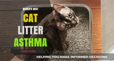 Revolutionary Cat Litter Solution for Asthma Sufferers: Breathe Easy with the World's Best!