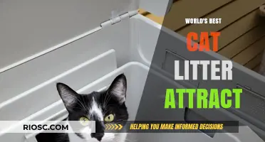 Revolutionary Cat Litter Attracts Feline Fans Worldwide: A Purr-fect Solution for Pet Owners