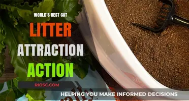 Purr-fectly Irresistible: The Ultimate Guide to Creating a Cat Litter Attraction Extravaganza