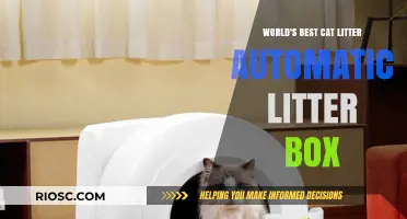 Revolutionize Your Cat Care: Discover the World's Best Automatic Litter Box for Effortless Cleaning
