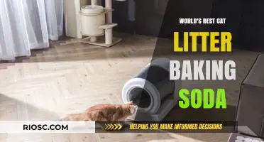 Revolutionize Your Cat's Litter Box: The Ultimate Guide to Baking Soda-Based Cat Litter