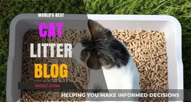 Purr-fectly Clean: The Ultimate Guide to Choosing the World's Best Cat Litter