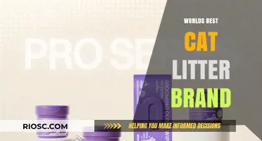 Purr-fectly Clean: Unveiling the World's Best Cat Litter Brand for Your Feline Friend