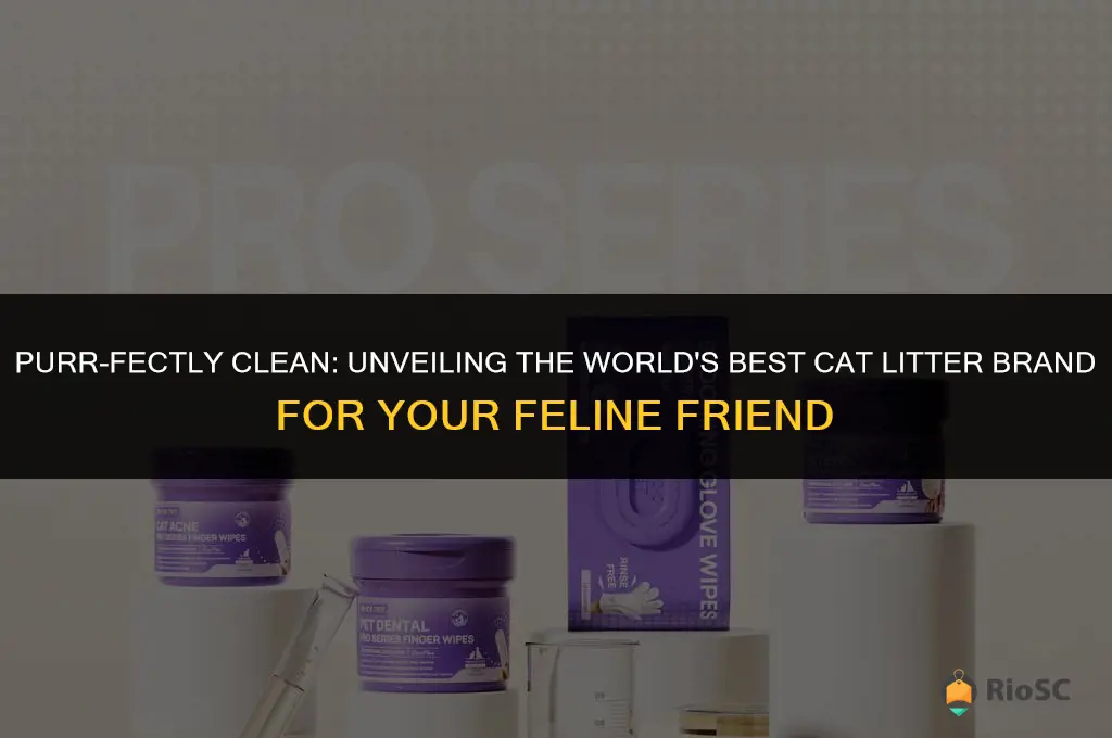 worlds best cat litter brand