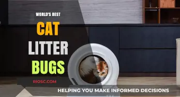Purr-fectly Clean: Unveiling the World's Best Cat Litter for Bug-Free Bliss