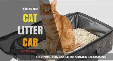 Revolutionizing Pet Travel: The Ultimate Cat Litter Car for Feline Comfort and Convenience