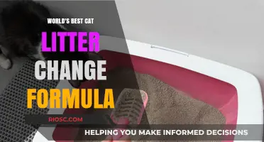 Revolutionize Your Cat's Comfort: The Ultimate Guide to the World's Best Cat Litter Change Formula