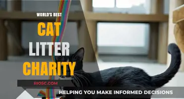 Purr-fectly Charitable: The Quest for the World's Best Cat Litter Charity