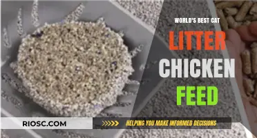Purr-fectly Nourished: The Ultimate Guide to Choosing the World's Best Cat Litter Chicken Feed