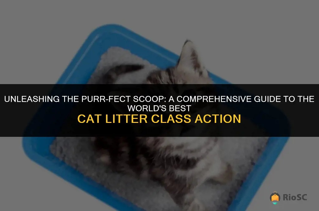 worlds best cat litter class action
