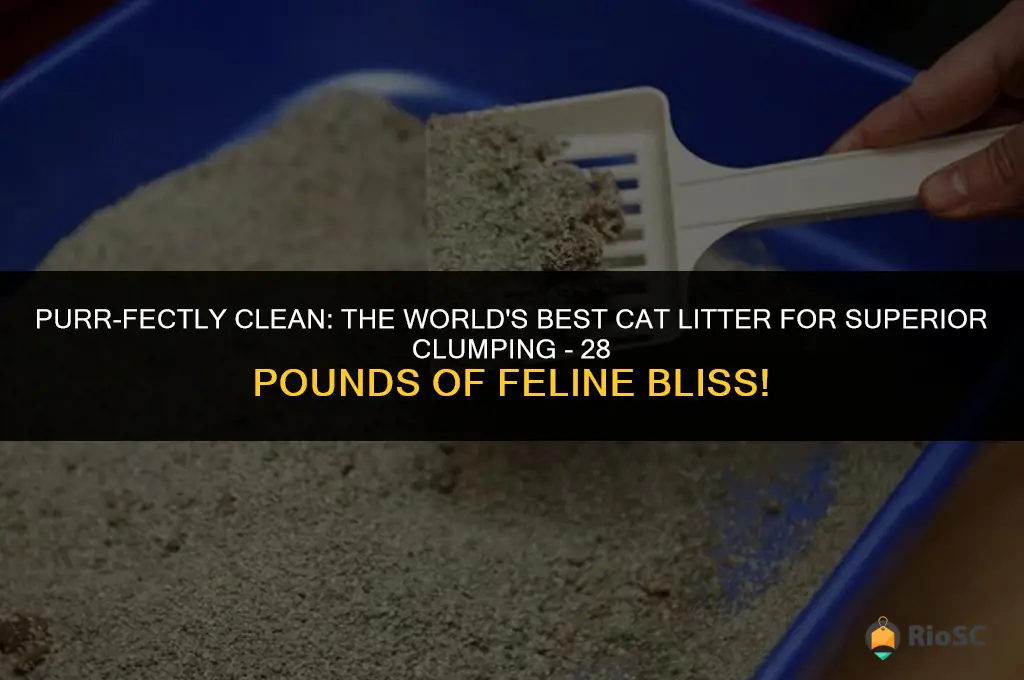 worlds best cat litter clumping 28 lbs
