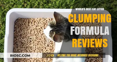 Purr-fectly Clean: Unveiling the Top-Rated Cat Litter Clumping Formulas of 2024