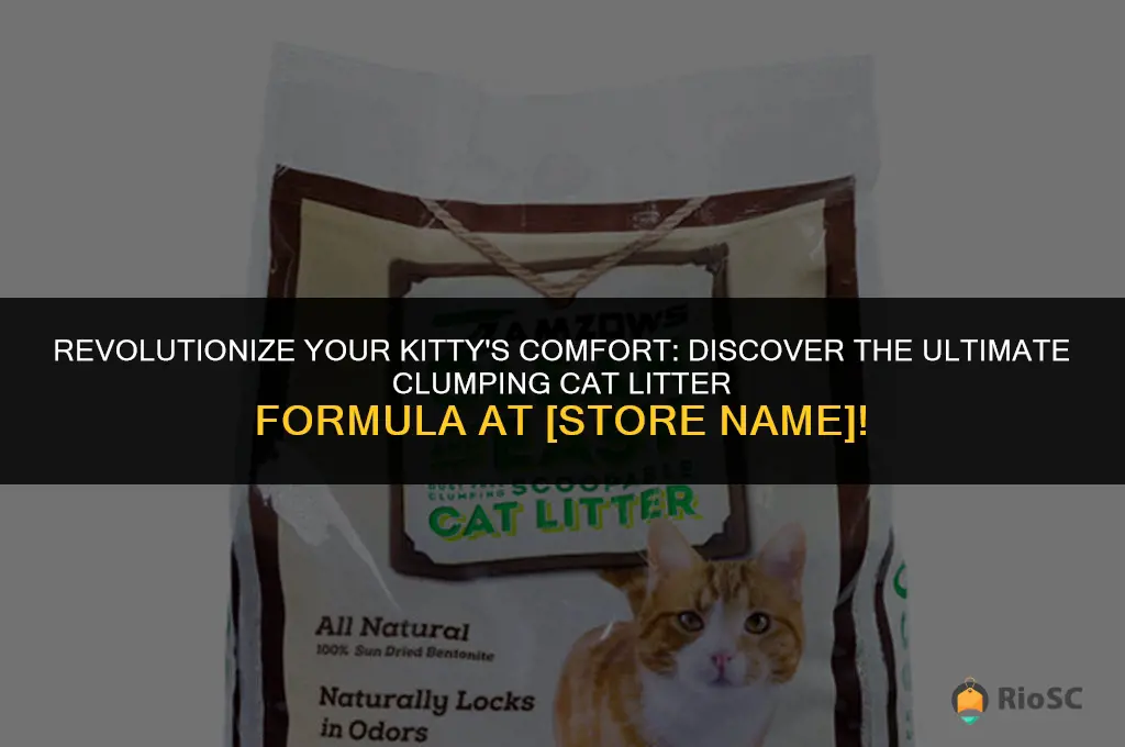 worlds best cat litter clumping formula store