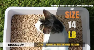 Purr-fectly Clean: The Ultimate Guide to Choosing the Best Cat Litter for Multiple Cats
