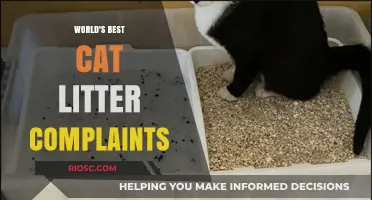 Top Cat Litter Brands Face Customer Backlash: Quality and Odor Control Issues Spark Online Complaints